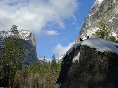 20110220-21_Yosemite 036